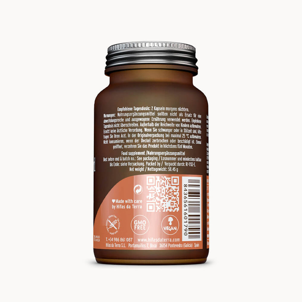 Hifas da Terra Mico-Cord